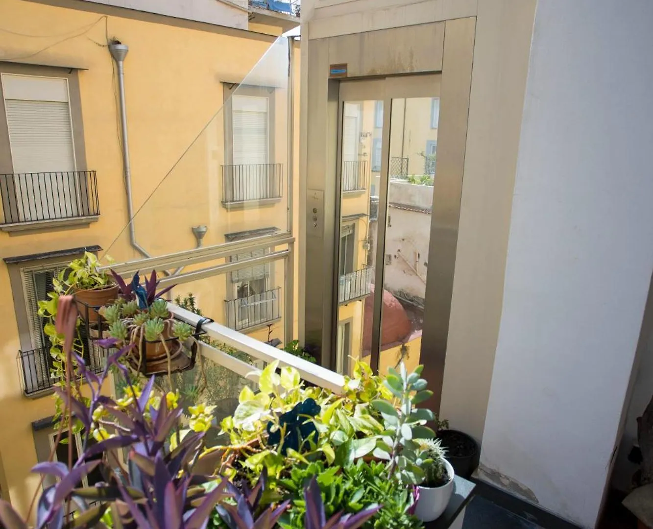 Palazzo 15 Napoli Bed & Breakfast
